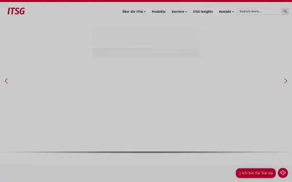 www.itsg.de