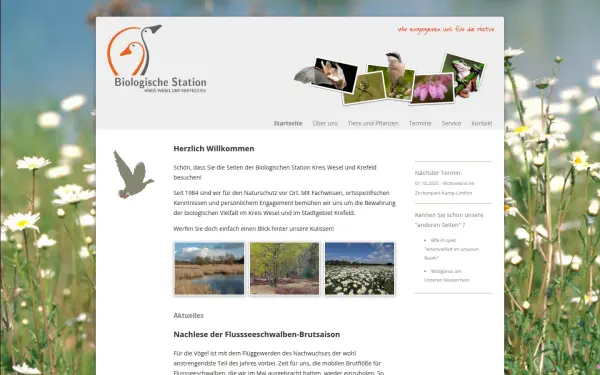 www.bskw.de