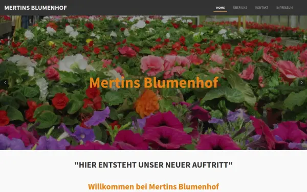 www.mertins-blumenhof.de