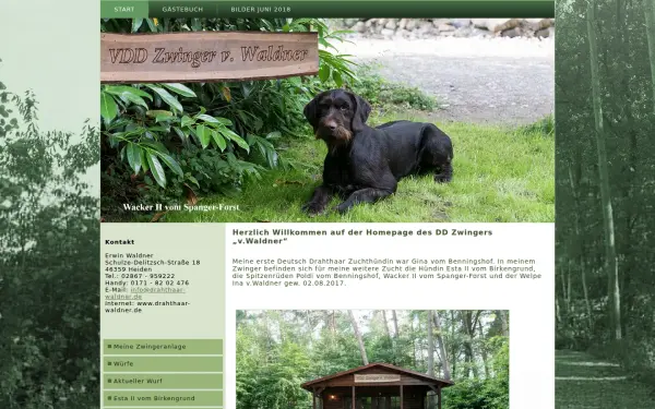 drahthaar-waldner.de