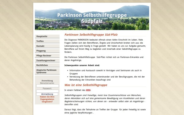 parkinson-shg-suedpfalz.de