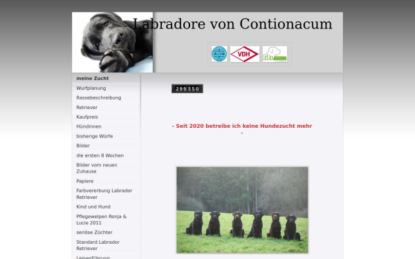 www.treuerlabrador.de
