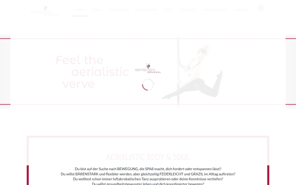 www.aerialistic.at