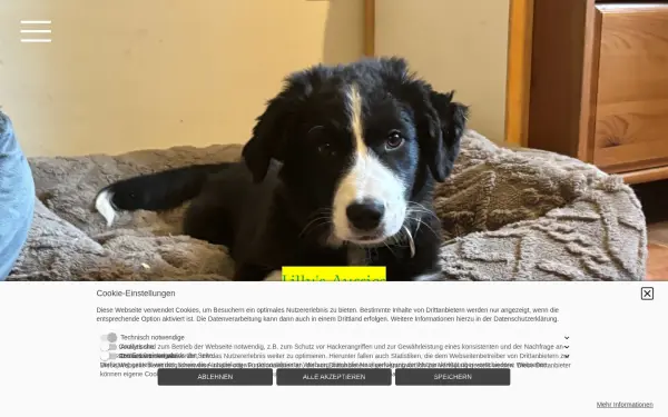 lillys-aussies.de