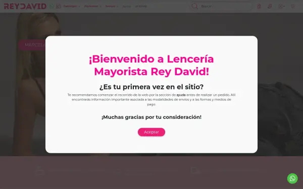 lenceriamayorista.com.ar
