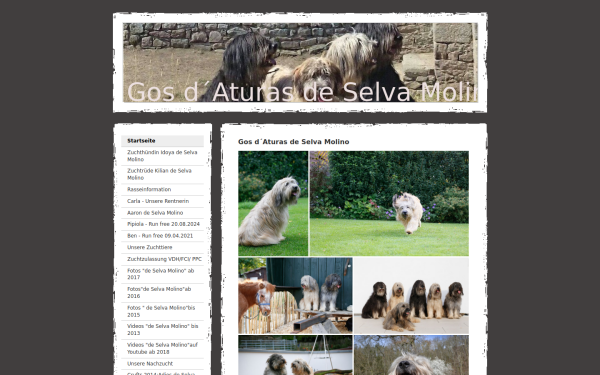 www.gosdaturas.de