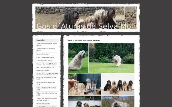www.gosdaturas.de