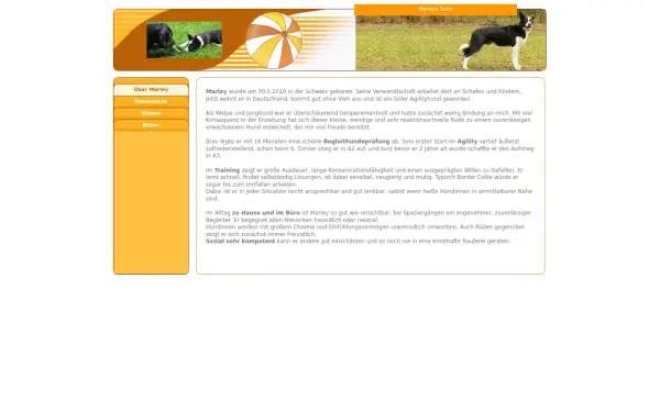 adamse.de