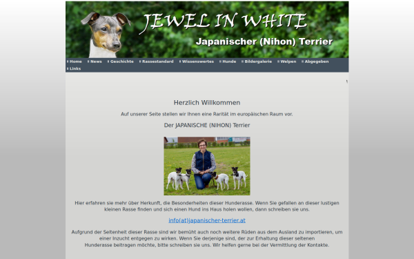 japanischer-terrier.at