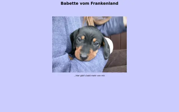 m-noether.de
