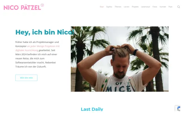 nicopaetzel.de