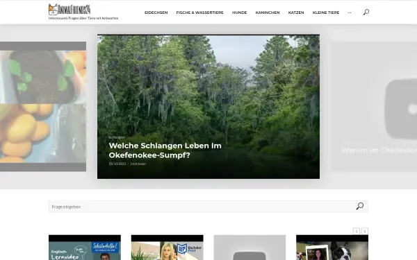 animalfriends24.de