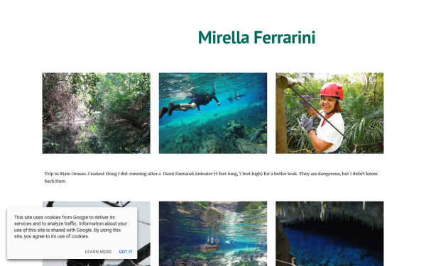 www.mirellaferrarini.biz