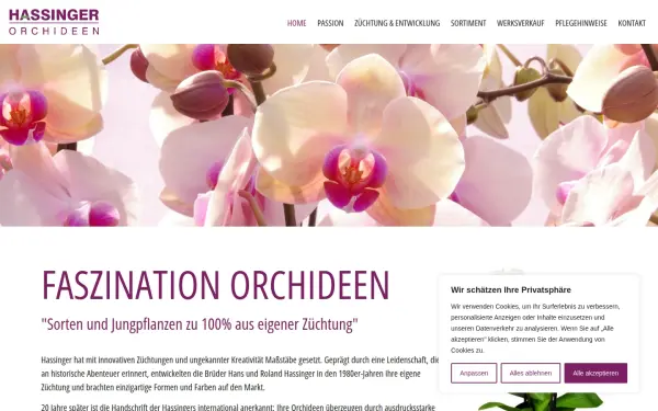 hassinger-orchideen.de