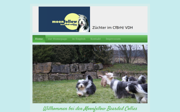 www.beardiefamily.de