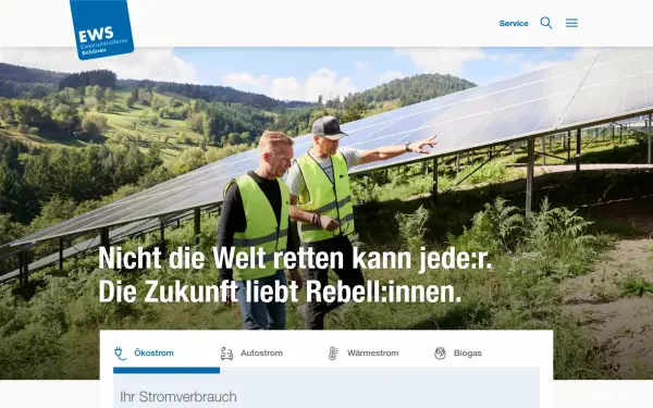 www.ews-schoenau.de