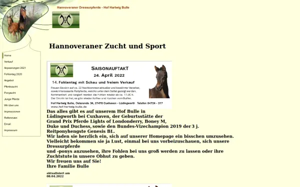 hannoveraner-dressurpferde-bulle.de