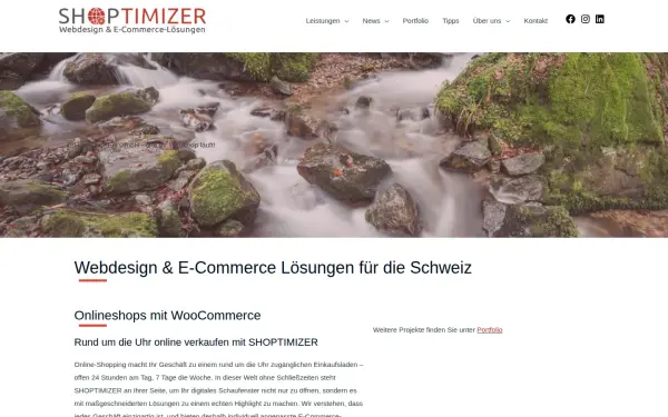 www.shoptimizer.ch