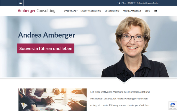 amberger.consulting