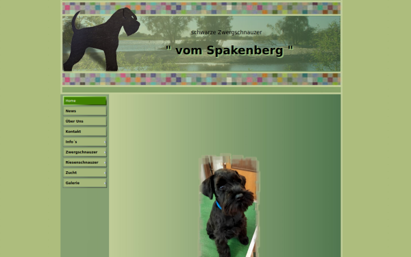 riesenschnauzer-welpen.de