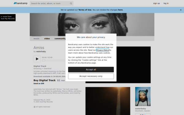 waterbabyonline.bandcamp.com