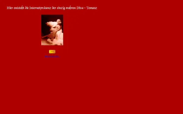 diediva.de
