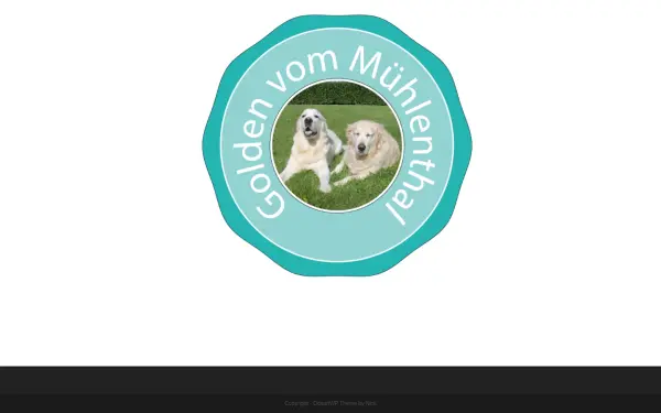 www.gvmt.de