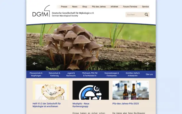 www.dgfm-ev.de