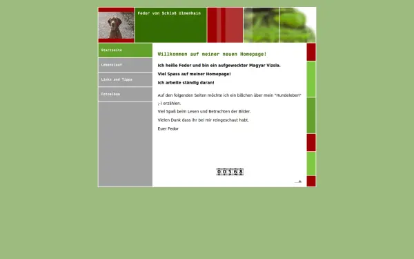 magyar-vizsla-germany.de