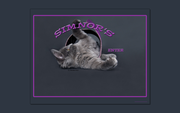 simnors.at