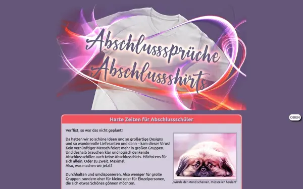 abschlusssprueche-abschlussshirts.de