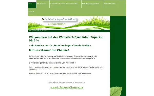 pyrrolidon.de