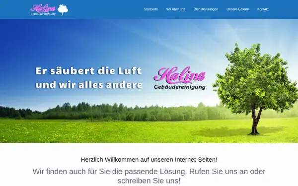 halina-reinigung.de
