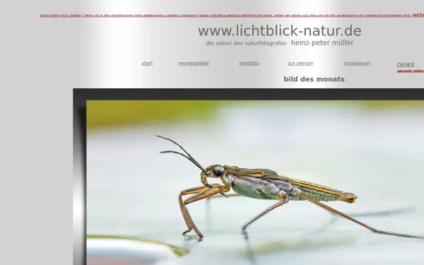 lichtblick-natur.de