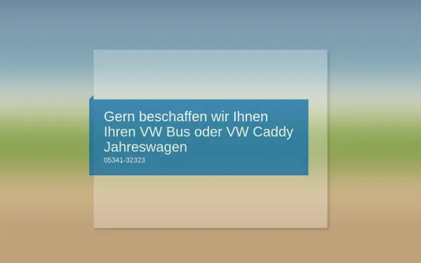 auto-dinse.de