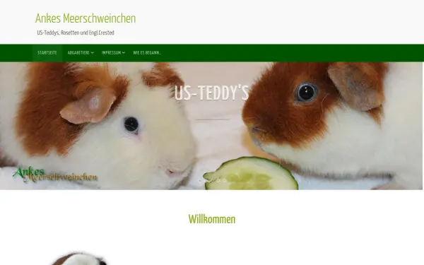 www.ankesmeerschweinchen.de