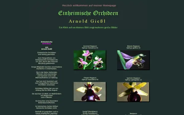 arnolds-orchideen.de