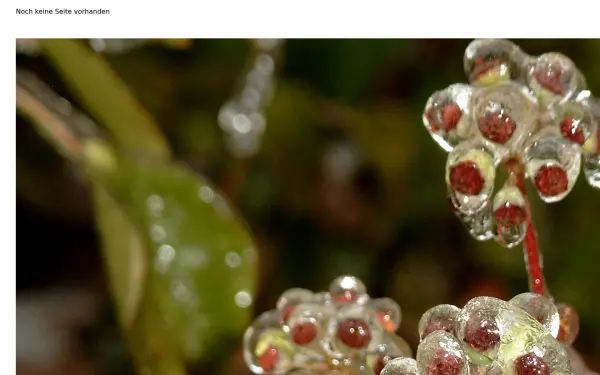 draba.de