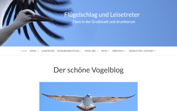 fluegelschlag-birding.de