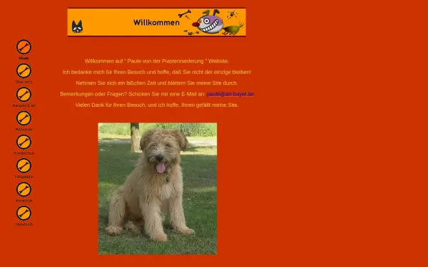 ari-bayer.de