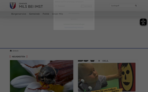 www.mils-imst.gv.at