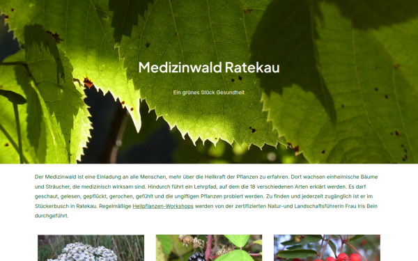 medizinwald.de