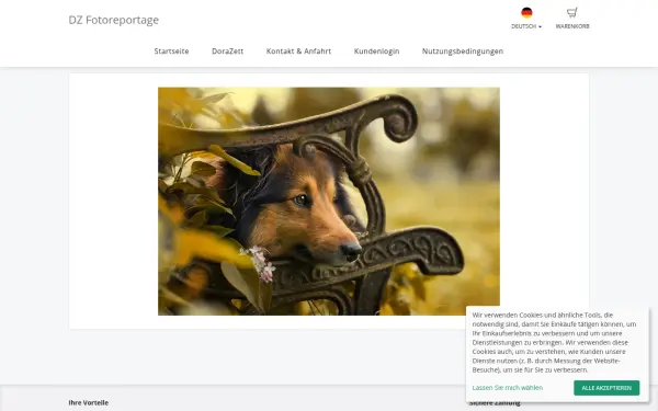 dorazett.de