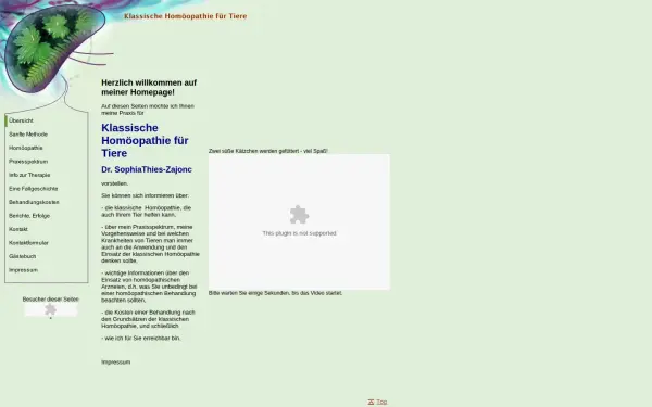 drthies-zajonc.de