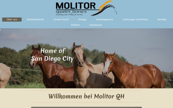 www.molitor-qh.de