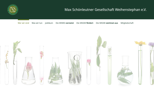 www.msgw.de