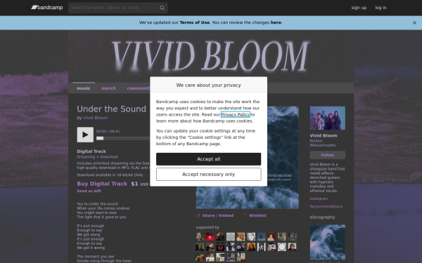 vividbloom.bandcamp.com