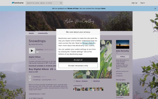ashamccarthy.bandcamp.com