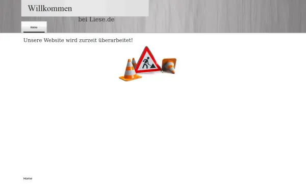 liese.de