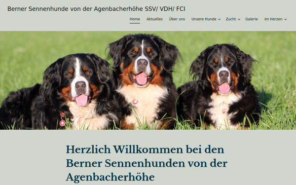agenbacher-berner.de